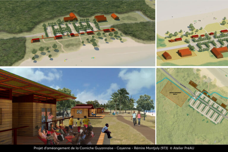 20a CAYENNE REMIRE MONTJOLY AP-01